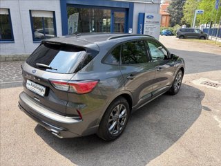 FORD Kuga 1.5 ecoboost ST-Line 2wd 150cv