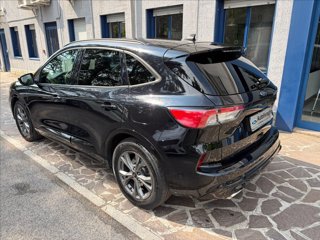 FORD Kuga 2.0 ecoblue ST-Line X 2wd 120cv auto
