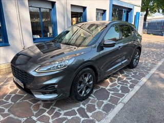 FORD Kuga 1.5 ecoblue ST-Line X 2wd 120cv auto