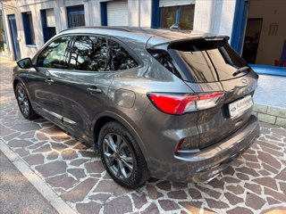FORD Kuga 1.5 ecoblue ST-Line X 2wd 120cv auto