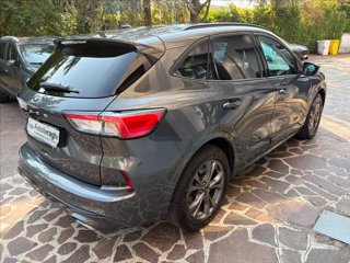 FORD Kuga 1.5 ecoblue ST-Line X 2wd 120cv auto
