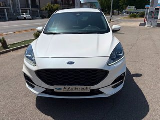FORD Kuga 2.5 full hybrid ST-Line awd 190cv cvt