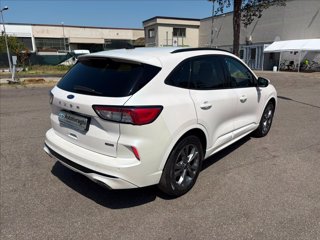 FORD Kuga 2.5 full hybrid ST-Line awd 190cv cvt