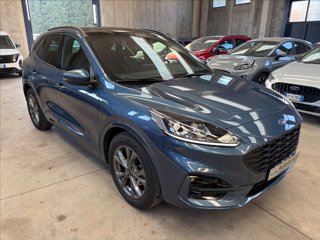 FORD Kuga 2.5 full hybrid ST-Line 2wd 190cv cvt